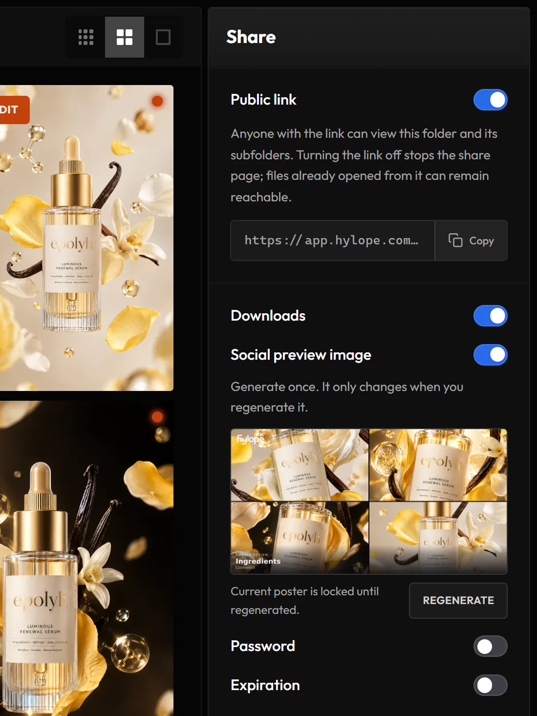 The Share panel of a folder: its public link, downloads, social preview image, password and expiration
